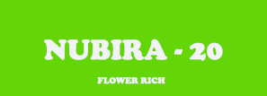 NUBIRA 20